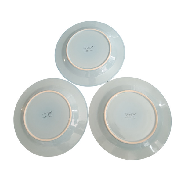 Thomson Pottery Cape Cod Blue Salad Plates Coastal Shells Cottage Set of 3 Mint - Picture 2 of 9